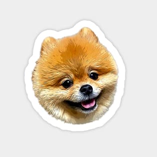 Pomeranian adorable face Sticker